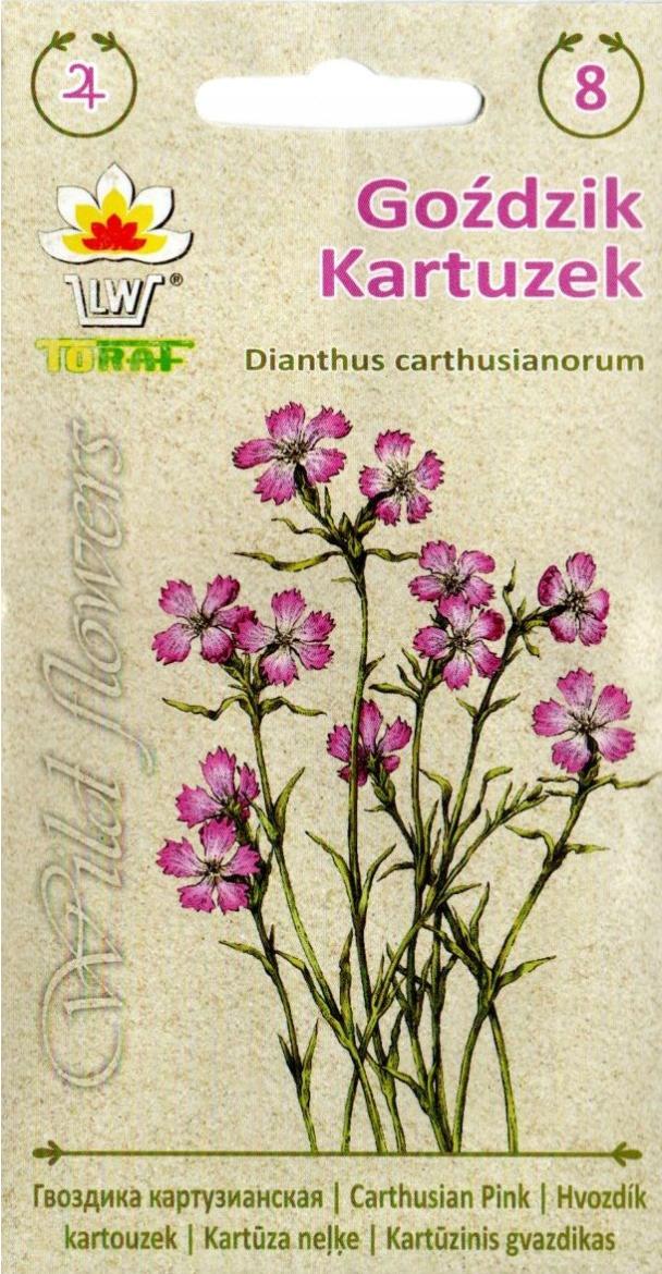 Godzik Kartuzek - Wild Flower - 0,2g TORAF (ID:4433)