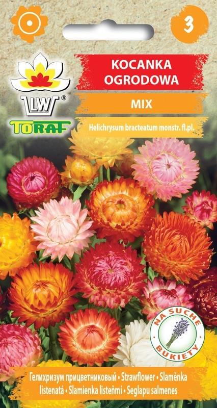 Kocanka ogrodowa mix - 0,5g TORAF (D:1993)