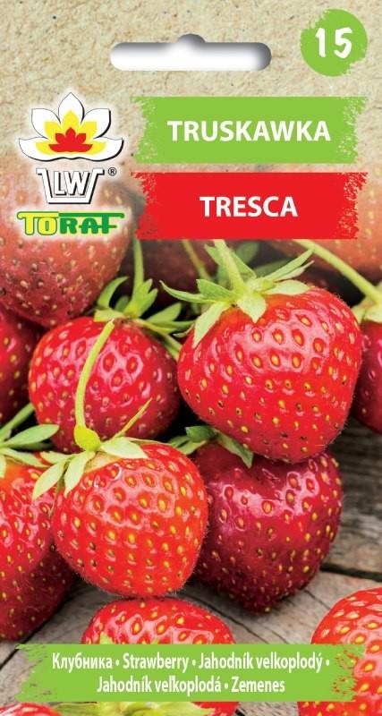Truskawka TRESCA (nasiona) - 20 szt nasion - TORAF (3195)